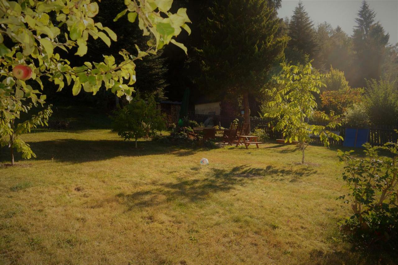 Deine Ferienwohnung Falkenstein  Buitenkant foto